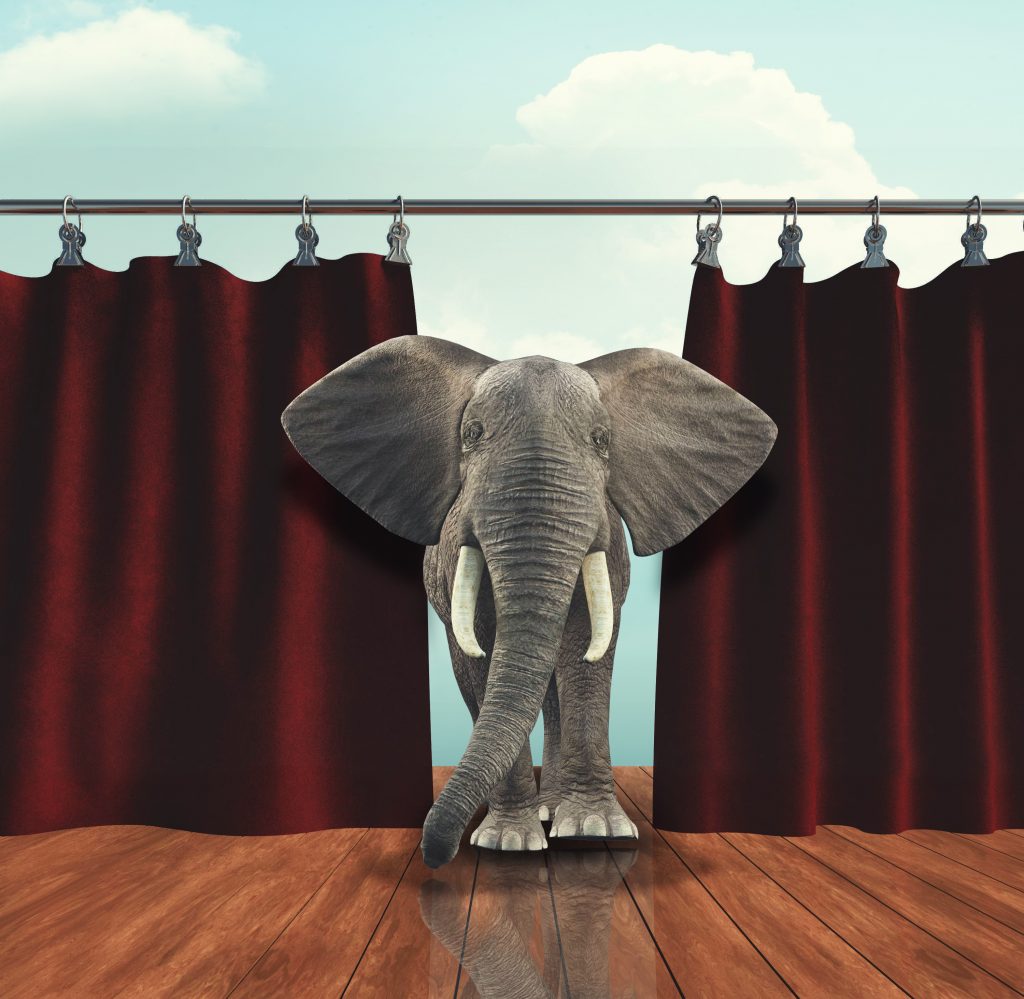 An elephant peeking through curtains on a stage