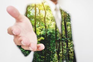 Jungle trees with he outline of a business person with their hand reaching out