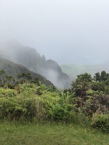 Beautiful view of Kauai