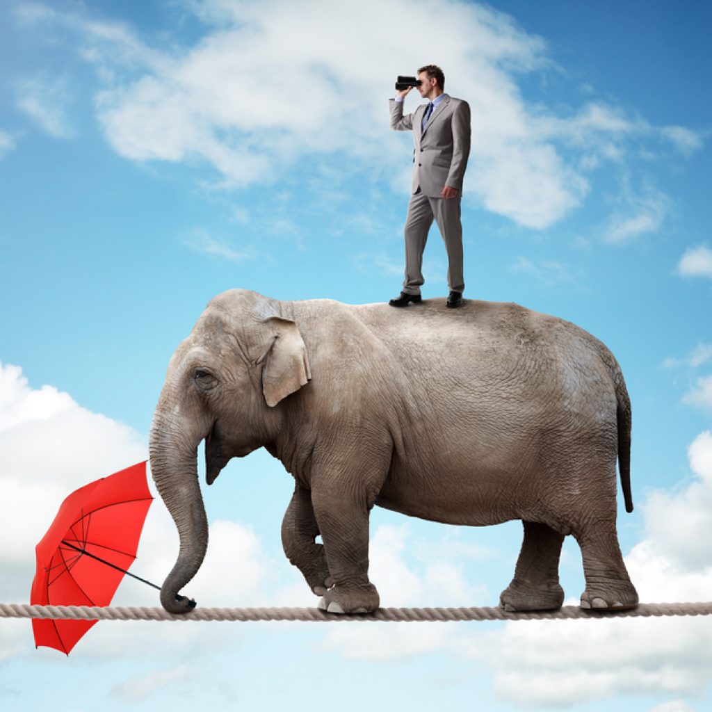 Man on top of an elephant with binoculars looking out into the distance